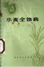 小麦全蚀病