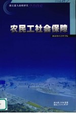 农民工社会保障