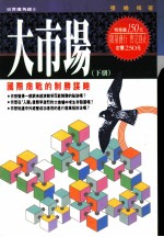大市场 (下册) 国际商战的制胜谋略