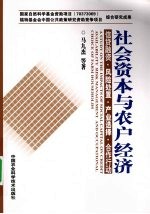 社会资本与农户经济 信贷融资·风险处置·产业选择·合作行动