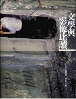 文学与影像比读