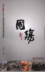 国殇 献给5·12汶传大地震蒙难者和英雄们的歌