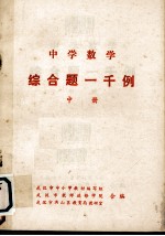 中学数学综合题一千例 中