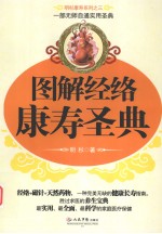 图解经络康寿圣典