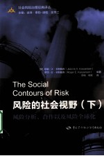 风险的社会视野 下 风险分析、合作以及风险全球化