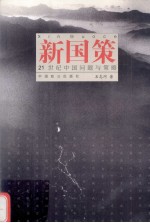 新国策:21世纪中国问题与策略