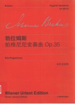 约翰内斯·勃拉姆斯 帕格尼尼变奏曲