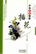 中外艺术精粹 插花