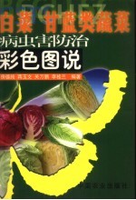 白菜 甘蓝类蔬菜病虫害防治彩色图说