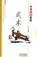 中外艺术精粹 武术