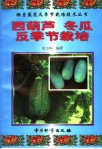 西葫芦 冬瓜反季节栽培