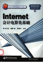 Internet会计电算化基础