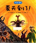 你好,四季 夏天到了!
