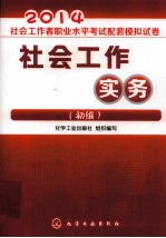 社会工作实务 初级