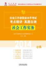 2014社会工作实务 中级