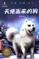 倔小孩 天使派来的狗