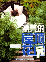 漂亮的屋顶花园