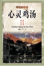 心灵鸡汤 珍藏中国版 2