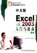 中文版Excel 2003入门与提高
