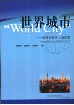 世界城市 国际经验与上海发展