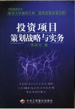投资项目策划战略与实务 解读天时地利人和 提供投资决策方略