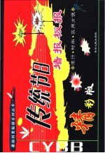 传统节日墙报板报 精彩版