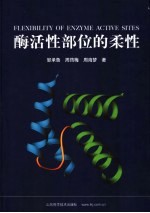 酶活性部位的柔性