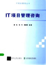 IT项目管理咨询