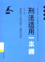 刑法适用一本通