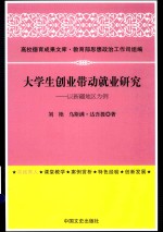 高校德育成果文库 大学生创业带动就业研究 以新疆地区为例