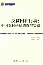 智库书系 反贫困在行动 中国农村扶贫调查与实践