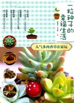 一粒种子的幸福生活 人气多肉香草在家玩