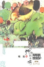 中国儿童文学畅销名家精品童话集 肉肉狗和积木鸡