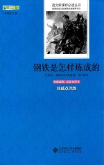 语文新课标必读丛书 钢铁是怎样炼成的