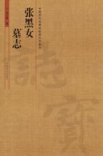中国历代名碑名帖放大本系列 张黑女墓志