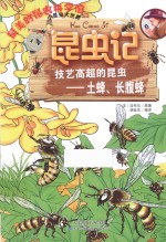 昆虫记 技艺高超的昆虫 土蜂、长腹蜂