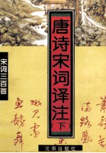 唐诗宋词译注 下 宋词三百首