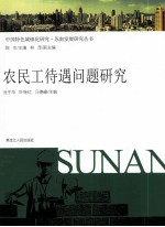 农民工待遇问题研究