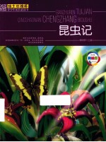 班主任推荐青少年成长必读书 昆虫记 美绘版