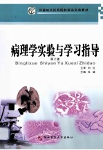 病理学实验与学习指导 第2版