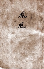凤求凰 言情小说