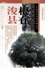 中国历史文化名城浚县 文化珍藏 根在浚县