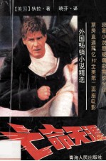 外国畅销小说精选 亡命天涯