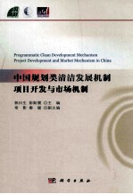中国规划类清洁发展机制项目开发与市场机制