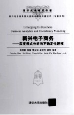 新兴电子商务 深度模式分析与不确定性建模