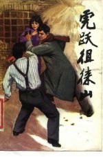 虎跃徂徕山 评书