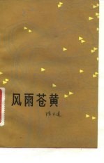 风雨苍黄