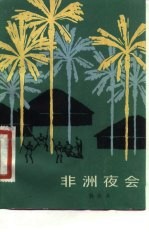 非洲夜会