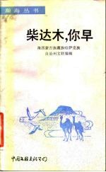 柴达木,你早