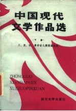中国现代文学作品选 下